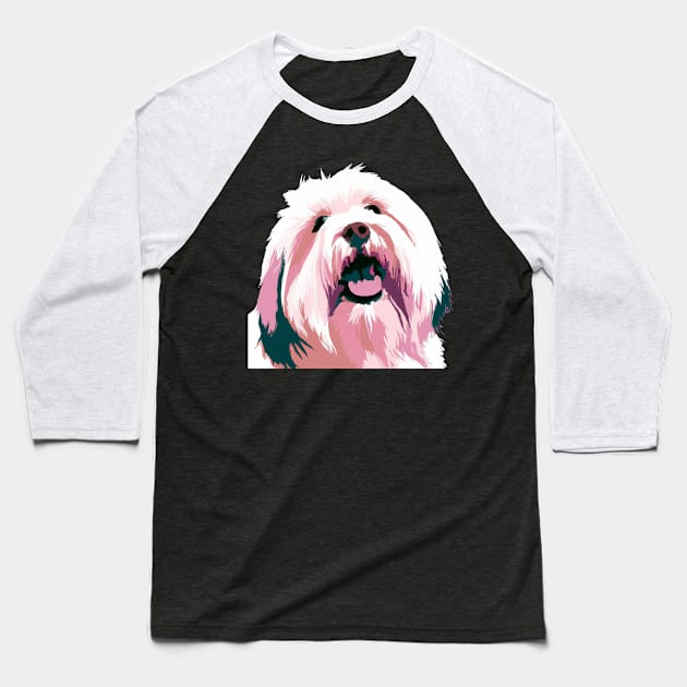 Coton de Tulear Pop Art - Dog Lover Gifts Baseball T-Shirt by PawPopArt